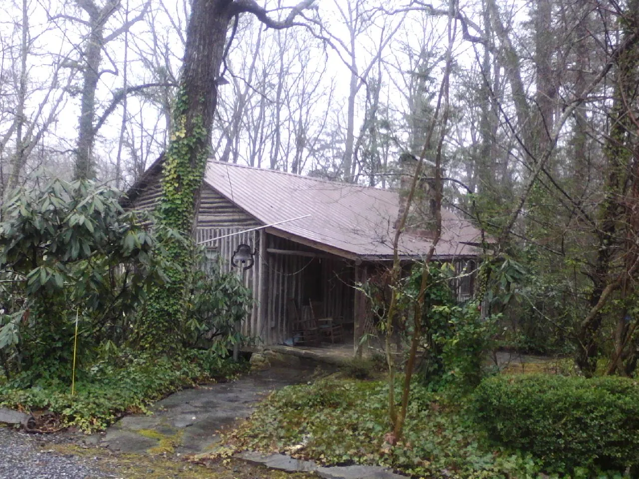Weathered metal roof on an old board sided cabin in the woods in Transfer
